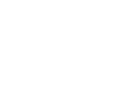 BadenIT logo